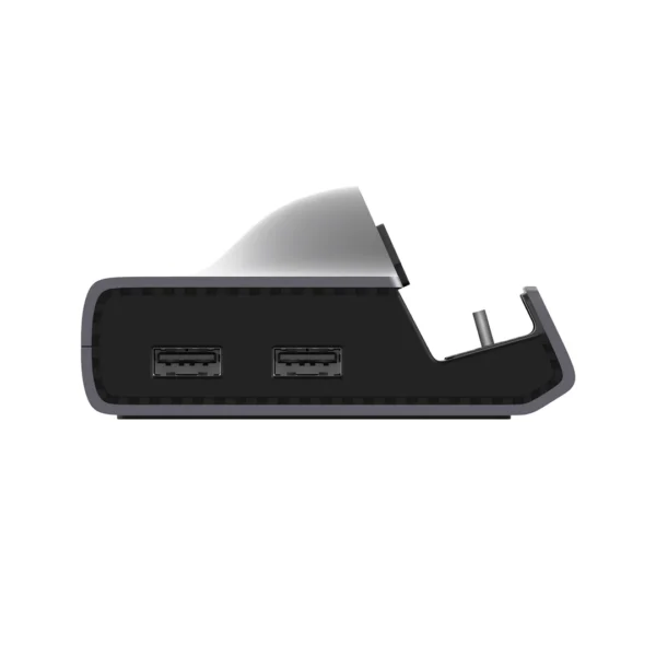 Ayn Odin 2 Official Dock - Gambar 3